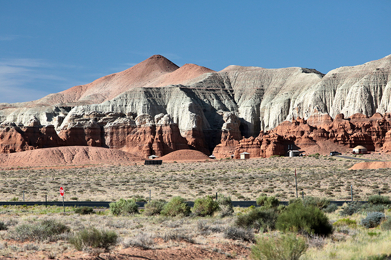 Bison : Antelope Island : Utah : Landscape Photos : Richard Moore : Photographer